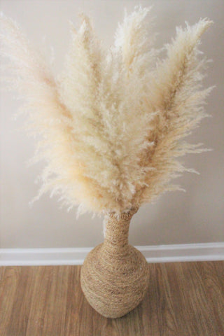Extra Large Fluffy Natural Beige Pampas Grass | Dried Flowers For Interior Decoration | Wedding Floral Decorations | Jumbo Pampas Grass