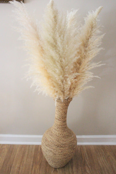 Extra Large Fluffy Natural Beige Pampas Grass | Dried Flowers For Interior Decoration | Wedding Floral Decorations | Jumbo Pampas Grass