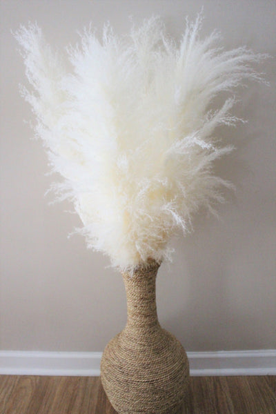 Extra Large Fluffy Natural Beige Pampas Grass | Dried Flowers For Interior Decoration | Wedding Floral Decorations | Jumbo Pampas Grass