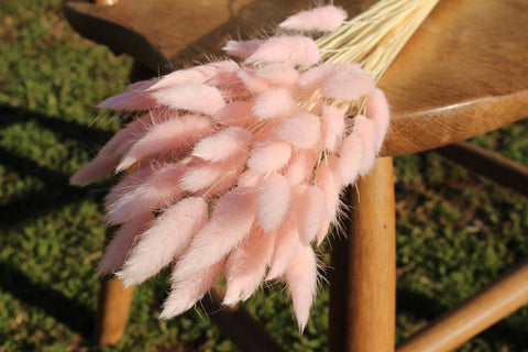 Pink Bunny Tails/ Rabbit Tails