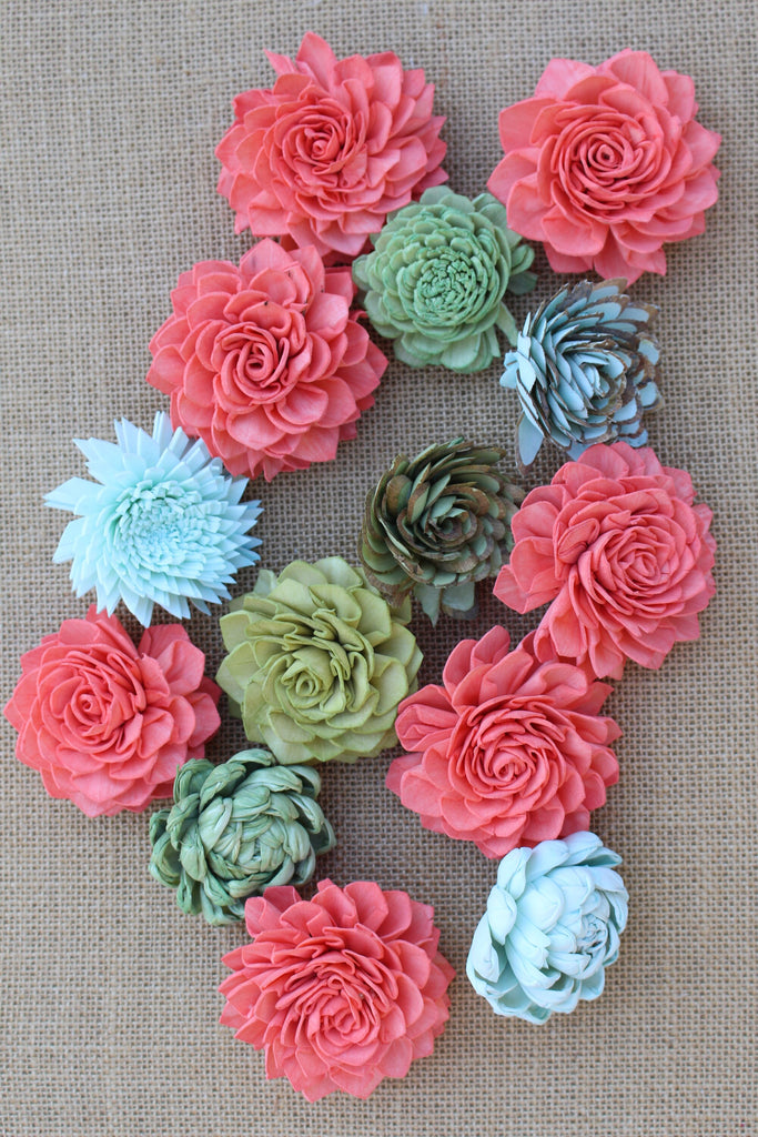 succulent delights Coral Succulent Delight Mixed Assorted Sola Wood Succulents, Sola Flow – The Sola Flower Store