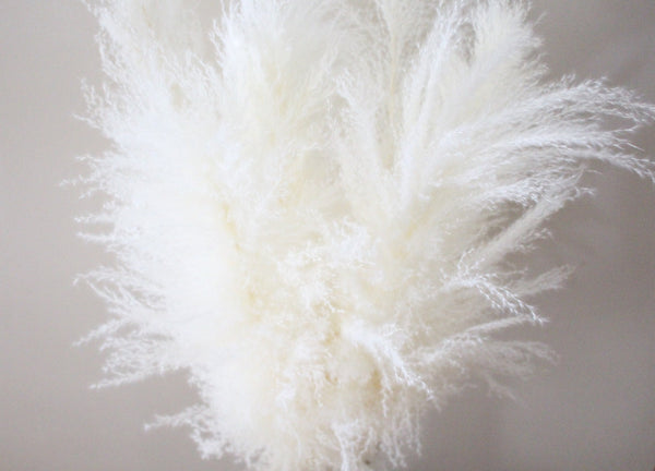 Extra Large Fluffy Natural Beige Pampas Grass | Dried Flowers For Interior Decoration | Wedding Floral Decorations | Jumbo Pampas Grass