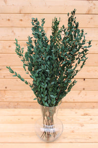 Eucalyptus: Preserved-Dried Parvifolia Teardrop Bunch - Green | Bouquet, Wedding, Decor , Plant, , Gift