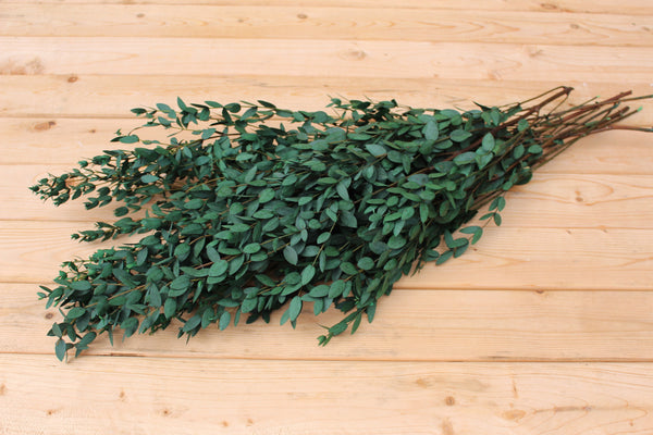 Eucalyptus: Preserved-Dried Parvifolia Teardrop Bunch - Green | Bouquet, Wedding, Decor , Plant, , Gift
