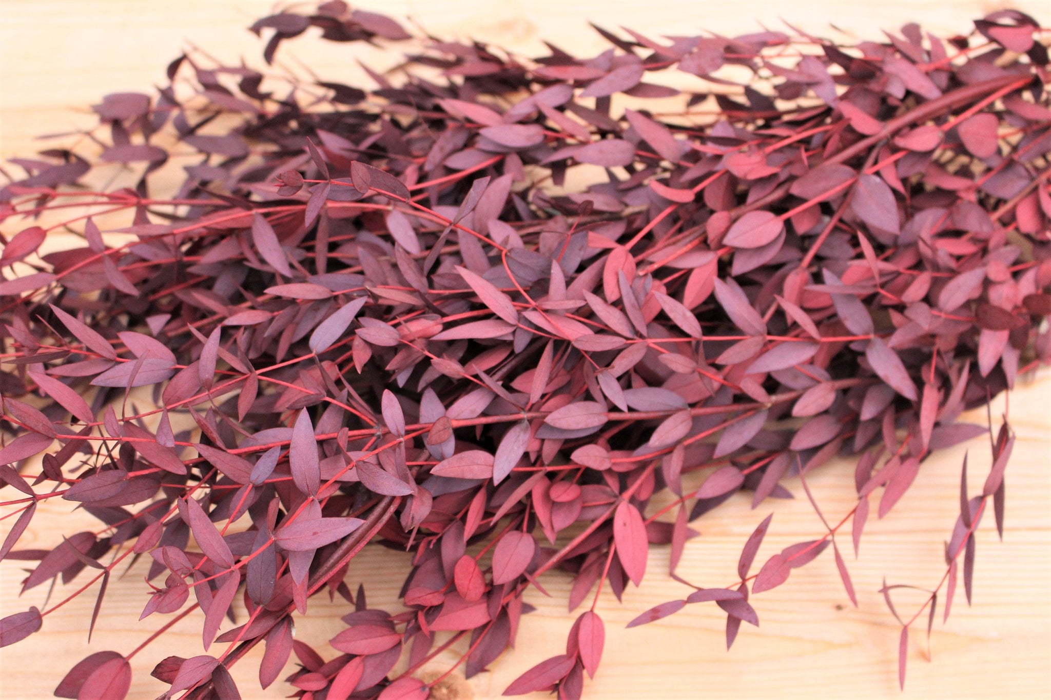 Preserved Burgundy Teardrop Eucalyptus, preserved parvafolia eucalyptus, greenery for bouquets, eucalyptus for bouquets,