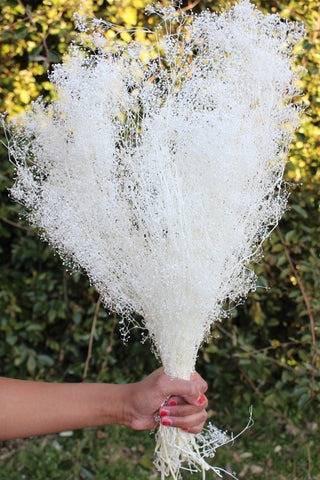 Stardust A Million Stars Babies Breath/ Bouquet Accent and Filler