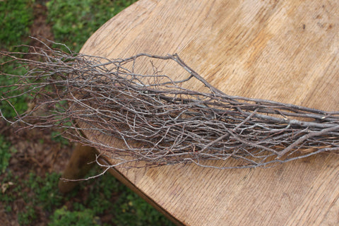 Thin Branches/ Twigs/ Sticks -Great for Centerpiece and Bouquet Stems