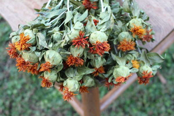 Dried Safflower/ Carthamus