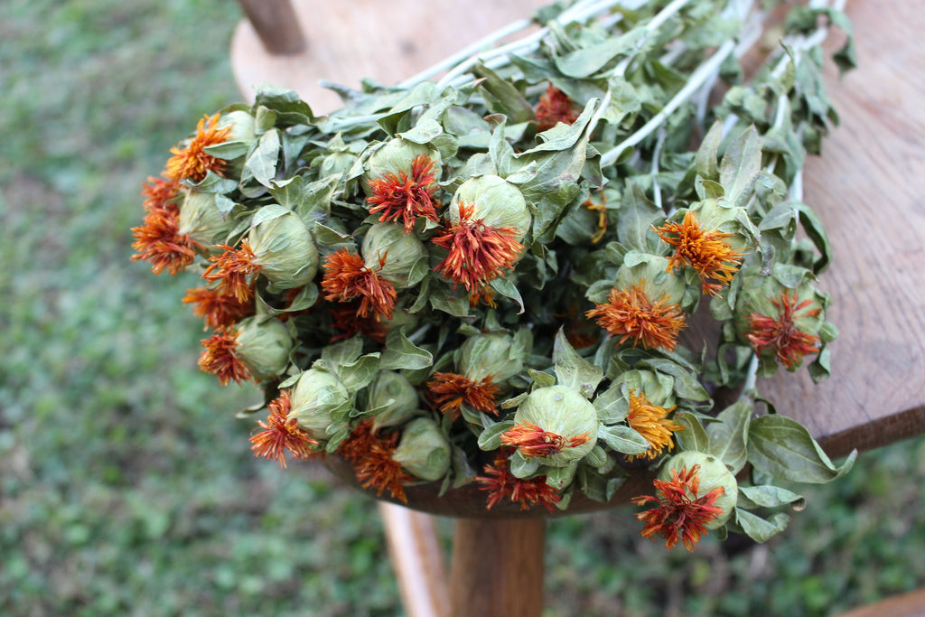 Dried Safflower/ Carthamus – SolaFlowerStore