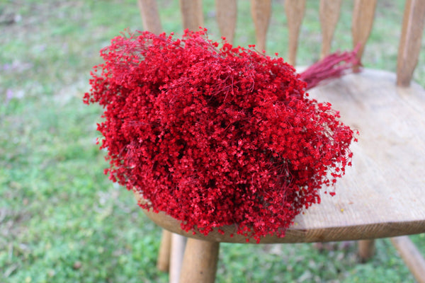 Red Broom Bloom Filler Cream Color/ Bouquet Filler