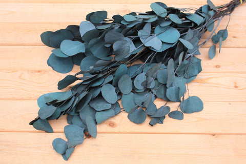 Teal Blue Preserved Silver Dollar Eucalyptus, silver dollar eucalyptus, burgundy, green, blue eucalyptus for garlands, greenery for weddings