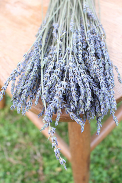 French Lavender Fragrant