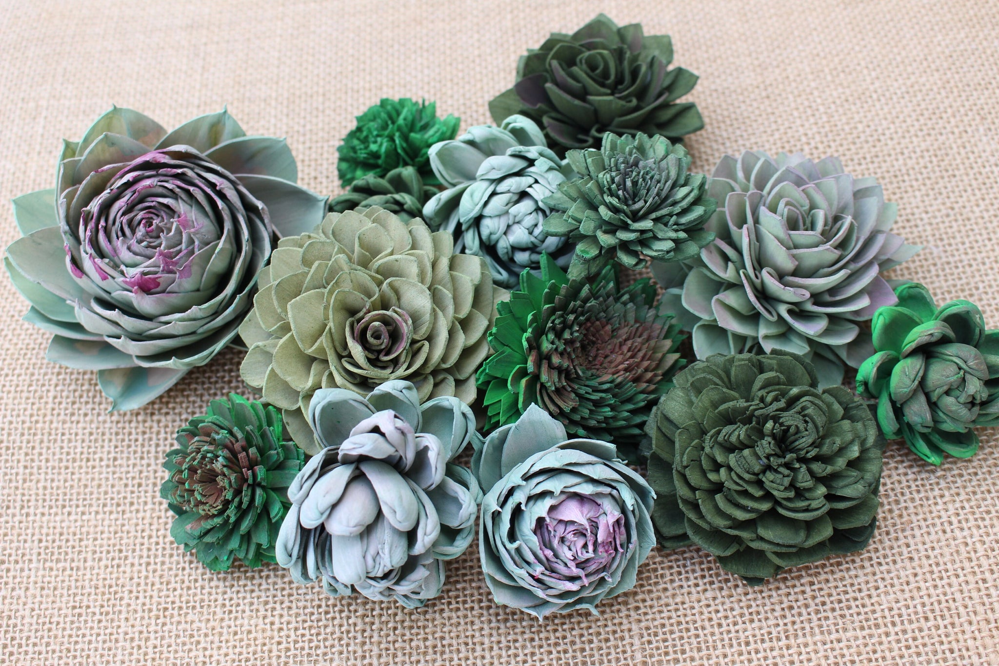 sola wood succulents Mixed Assorted Sola Wood Succulents 25 Flowers