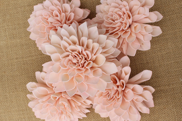 Blush Pink Sola Flower Dahlias 4"