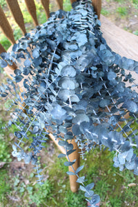 Frosted Blue Spiral Eucalyptus, preserved eucalyptus, greenery for bouquets, eucalyptus for bouquets