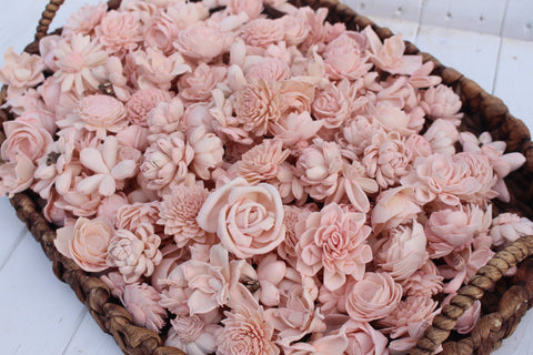 Blush Pink Assorted Mini Sola Wood Flower Assortment