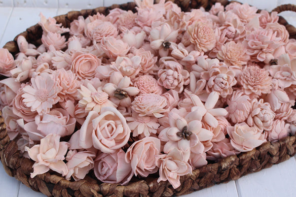 Blush Pink Assorted Mini Sola Wood Flower Assortment
