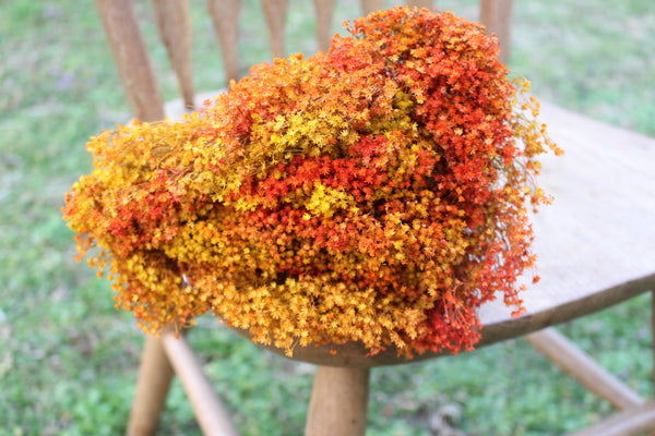 Orange and Mustard Yellow Broom Bloom Filler/ Bouquet Filler