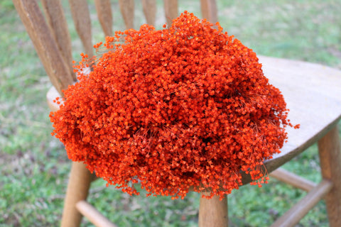 Deep Orange Broom Bloom Filler/ Bouquet Filler
