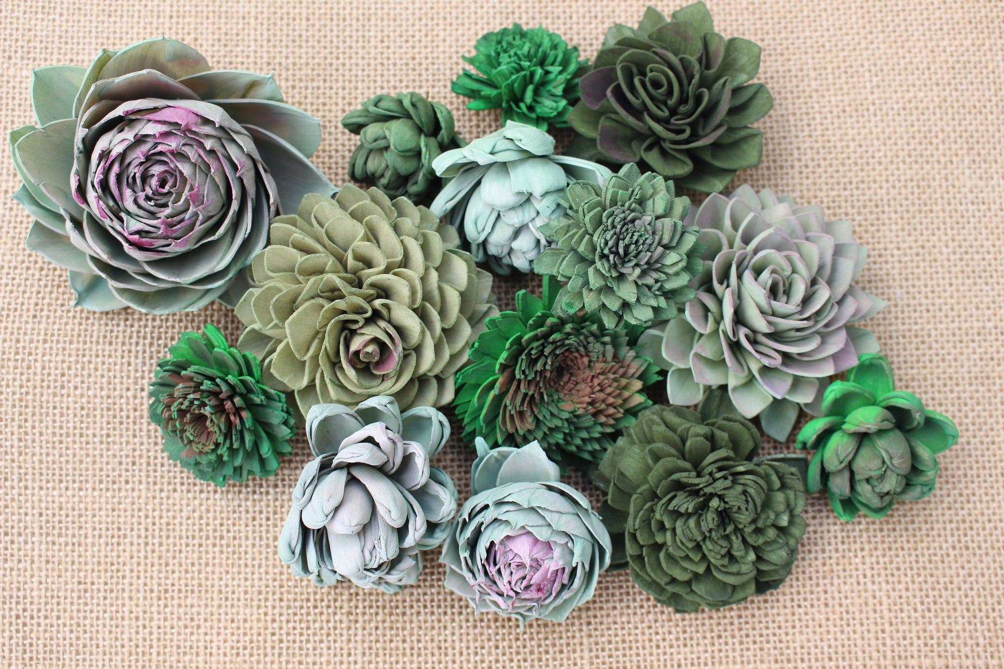succulent shade Mixed Assorted Sola Wood Succulents 25 Flowers