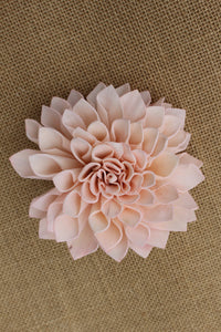 Blush Pink Sola Flower Dahlias 4"