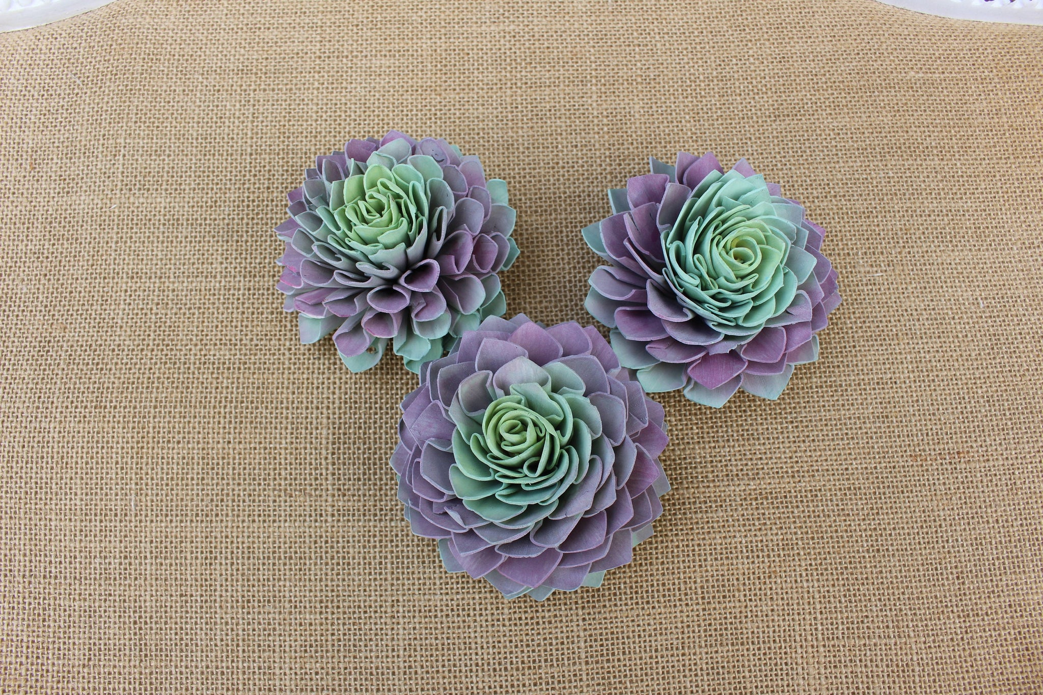 sola succulents Succulent Sola Flower with Purple Green Yellow Tones