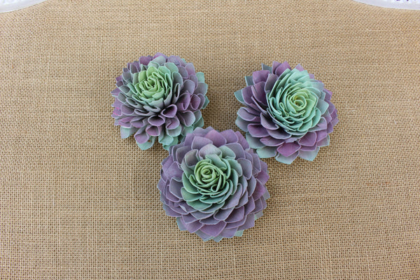 Succulent Sola Flower with Purple Green Yellow Tones