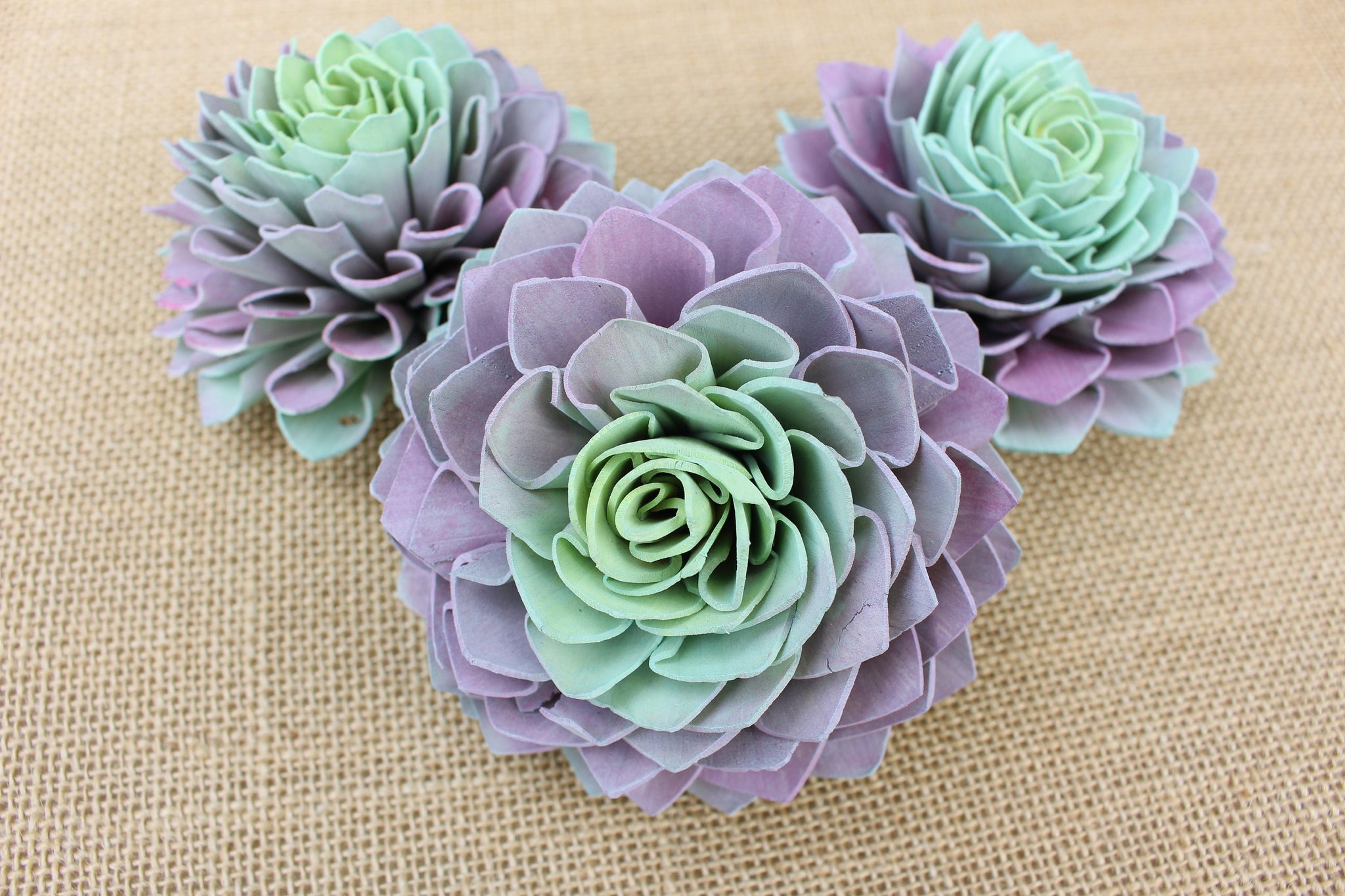 green succulent flowers Succulent Sola Flower with Purple Green Yellow Tones