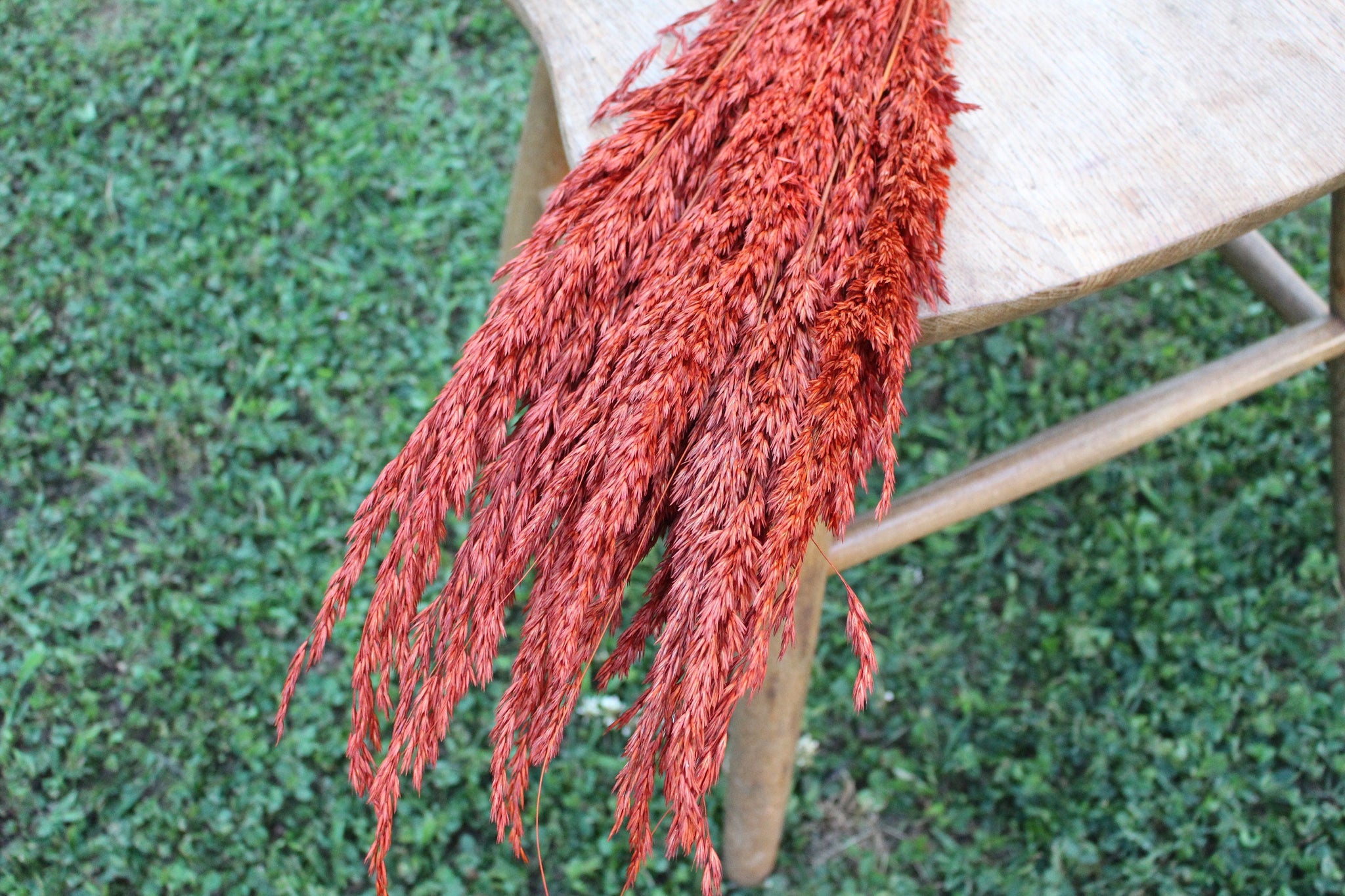 Wild Oat Grass Burnt Orange Terracotta