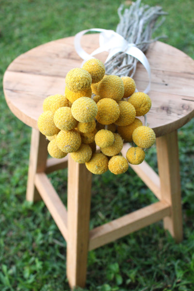 Golden bright yellow Craspedia Billy balls displayed on wood. Perfect for a wedding bouquet, vase arrangement, gift, or DIY project.