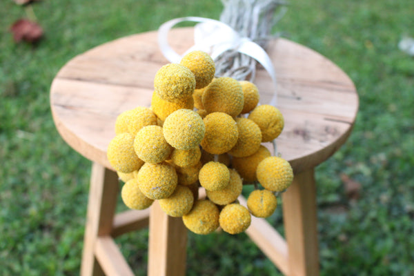 Golden bright yellow Craspedia Billy balls displayed on wood. Perfect for a wedding bouquet, vase arrangement, gift, or DIY project.