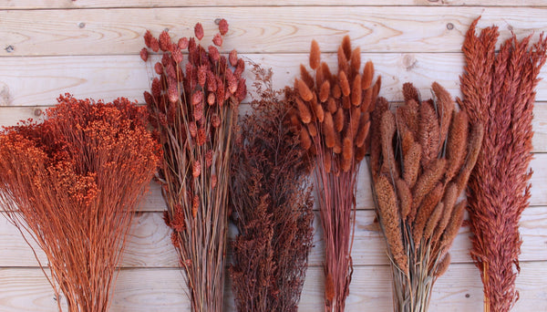 Terracotta Cinnamon Rust Burnt Oak Collection Dried Florals/ Arrangements/ Boho Wedding/ Home Decor