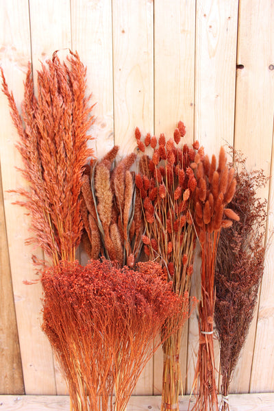 Terracotta Cinnamon Rust Burnt Oak Collection Dried Florals/ Arrangements/ Boho Wedding/ Home Decor