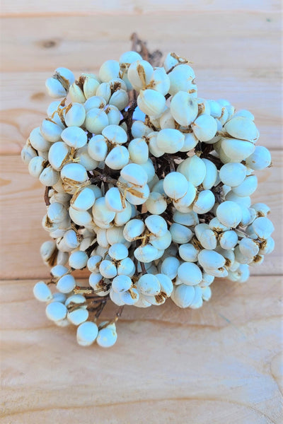 Dried  White Tallow Berry Bundle/Bouquet