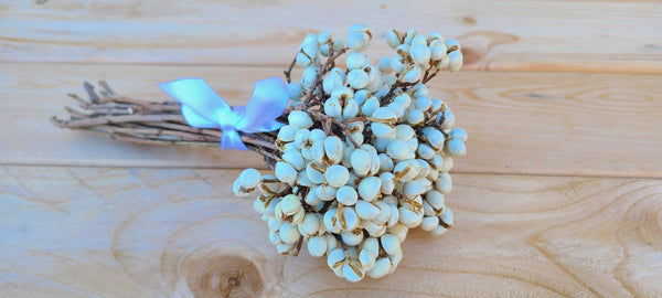 Dried  White Tallow Berry Bundle/Bouquet
