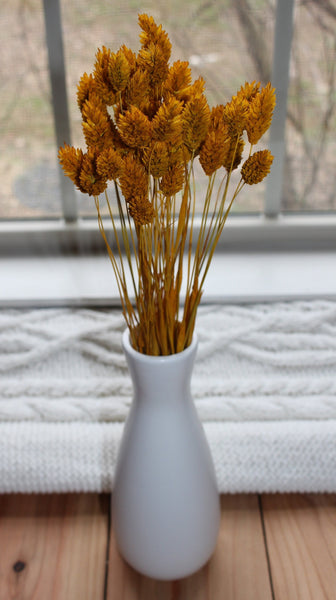 Mustard Yellow Dried Phalaris - Textured Bunny Tails - Phalaris Grass Tails - Canary Grass - Gem Grass - Phalaris dried DIY for arrangements