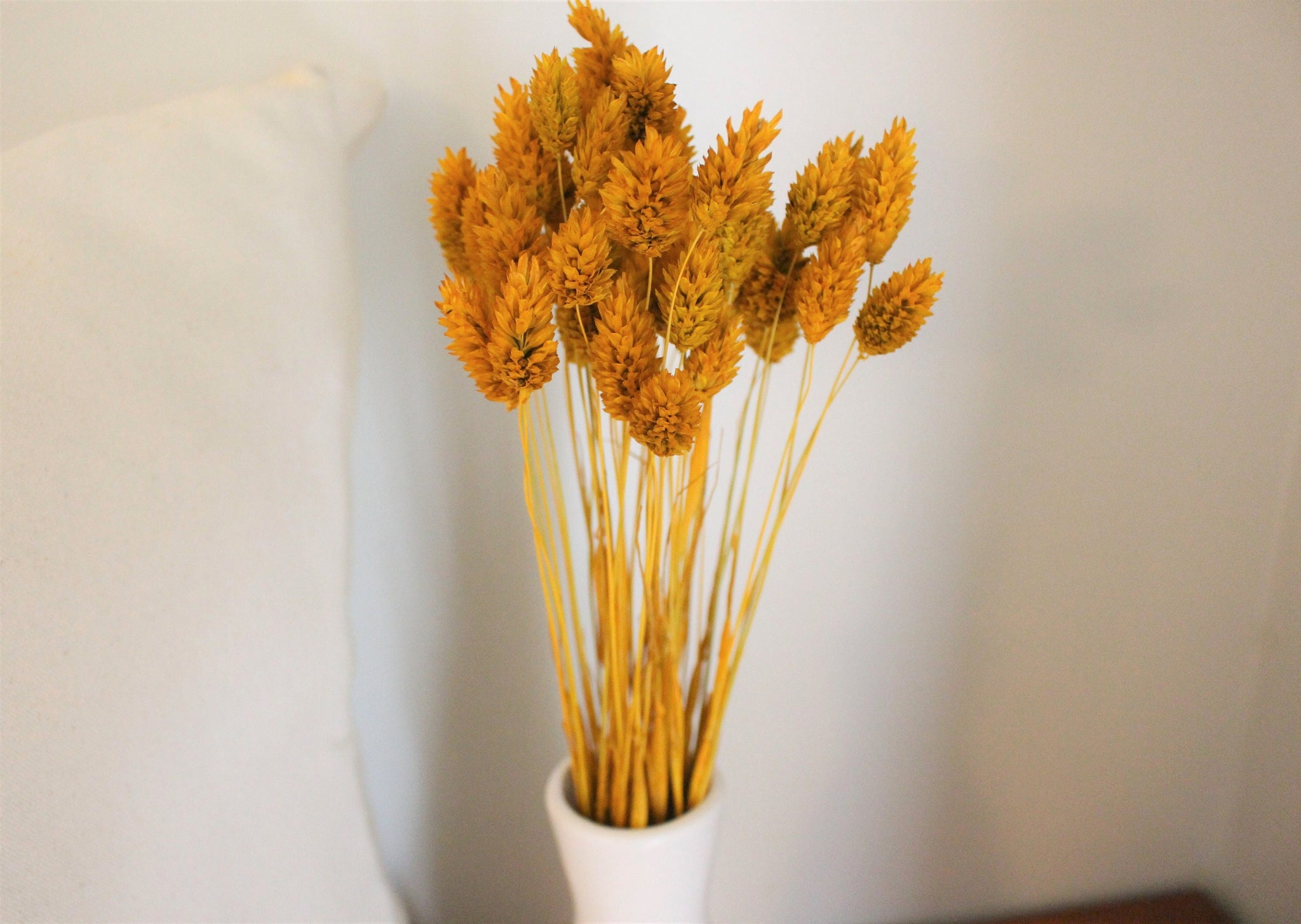 Mustard Yellow Dried Phalaris - Textured Bunny Tails - Phalaris Grass Tails - Canary Grass - Gem Grass - Phalaris dried DIY for arrangements