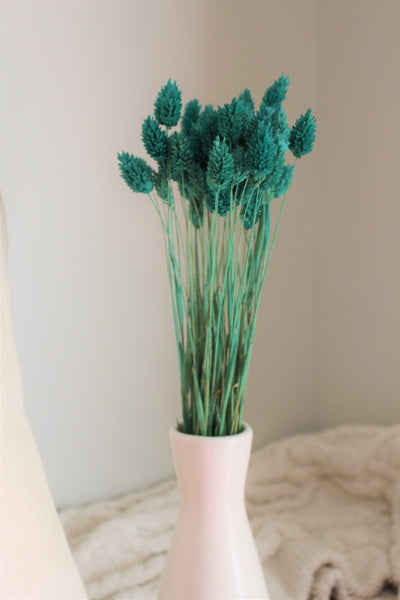 Turquoise Dried Phalaris,Fall Flowers,Textured Bunny Tails,Phalaris Grass Tails,Canary Grass,Home Decor,
