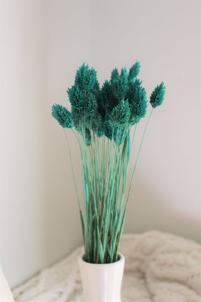 Turquoise Dried Phalaris,Fall Flowers,Textured Bunny Tails,Phalaris Grass Tails,Canary Grass,Home Decor,