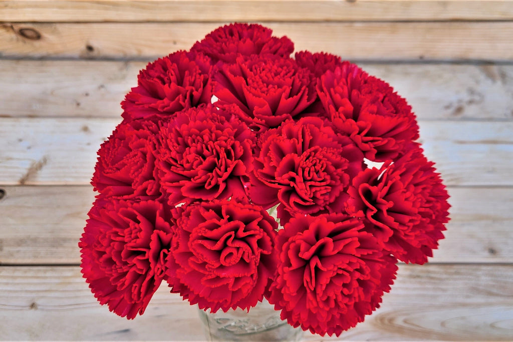 Candy Red Stemmed Sola Wood Carnation Flowers, Gift for Her, Sola Flow
