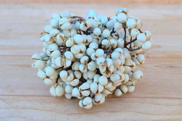 Dried  White Tallow Berry Bundle/Bouquet