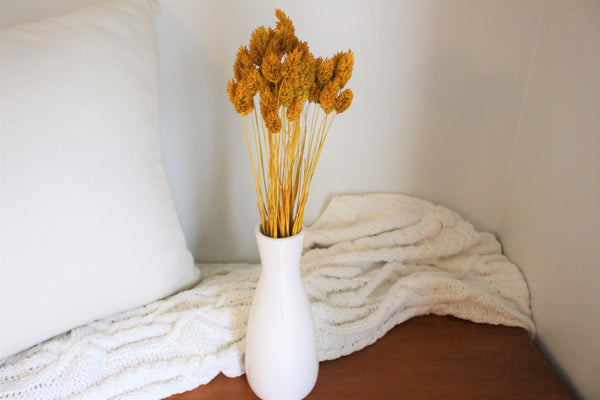 Mustard Yellow Dried Phalaris - Textured Bunny Tails - Phalaris Grass Tails - Canary Grass - Gem Grass - Phalaris dried DIY for arrangements