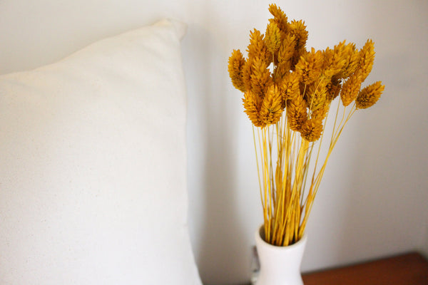 Mustard Yellow Dried Phalaris - Textured Bunny Tails - Phalaris Grass Tails - Canary Grass - Gem Grass - Phalaris dried DIY for arrangements