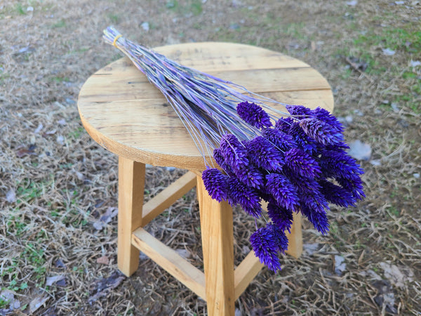 Purple Dried Phalaris - Textured Bunny Tails - Phalaris Grass Tails - Canary Grass - Gem Grass - Phalaris dried DIY for arrangements