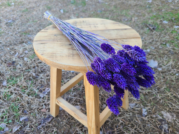 Purple Dried Phalaris - Textured Bunny Tails - Phalaris Grass Tails - Canary Grass - Gem Grass - Phalaris dried DIY for arrangements