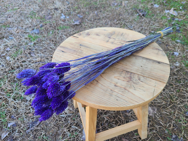 Purple Dried Phalaris - Textured Bunny Tails - Phalaris Grass Tails - Canary Grass - Gem Grass - Phalaris dried DIY for arrangements