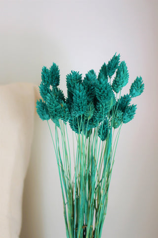 Turquoise Dried Phalaris,Fall Flowers,Textured Bunny Tails,Phalaris Grass Tails,Canary Grass,Home Decor,