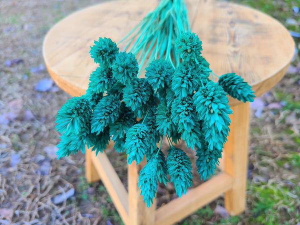 Turquoise Dried Phalaris,Fall Flowers,Textured Bunny Tails,Phalaris Grass Tails,Canary Grass,Home Decor,