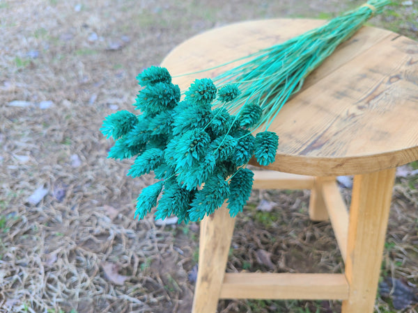 Turquoise Dried Phalaris,Fall Flowers,Textured Bunny Tails,Phalaris Grass Tails,Canary Grass,Home Decor,