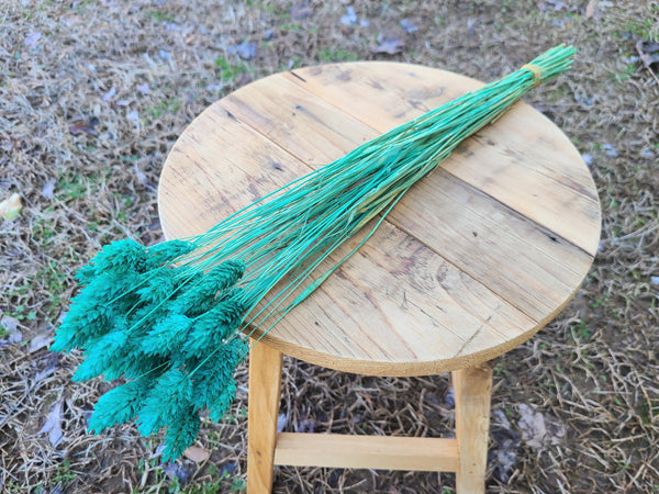 Turquoise Dried Phalaris,Fall Flowers,Textured Bunny Tails,Phalaris Grass Tails,Canary Grass,Home Decor,